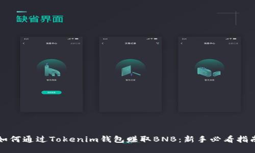 如何通过Tokenim钱包赚取BNB：新手必看指南