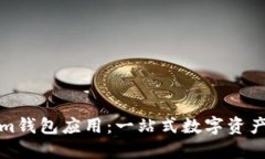 如何使用Tokenim钱包应用：一站式数字资产管理的