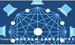 Tokenim测评通关攻略：全面解析与技巧分享