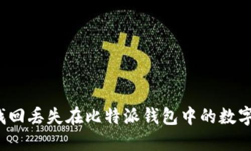 如何找回丢失在比特派钱包中的数字货币？