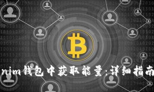 如何在Tokenim钱包中获取能量：详细指南与实用技巧