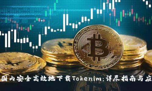 如何在国内安全高效地下载Tokenim：详尽指南与应用实例