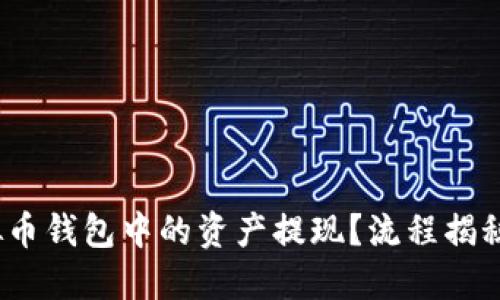 :如何将虚拟币钱包中的资产提现？流程揭秘与经验分享