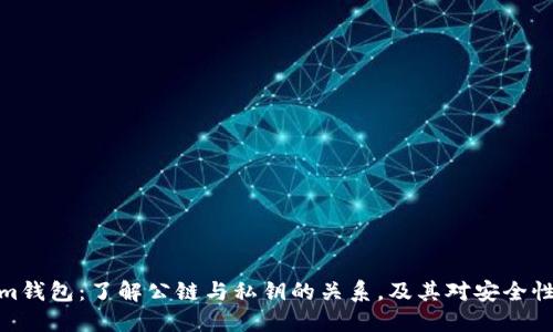 Tokenim钱包：了解公链与私钥的关系，及其对安全性的影响