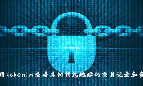 如何使用Tokenim查看其他钱包地址的交易记录和资产情况