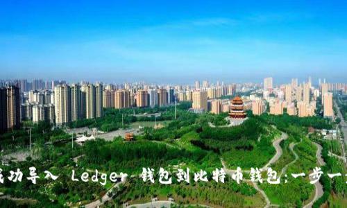 如何成功导入 Ledger 钱包到比特币钱包：一步一步指南