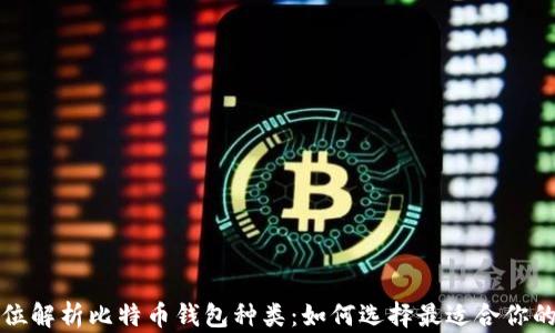 
全方位解析比特币钱包种类：如何选择最适合你的钱包