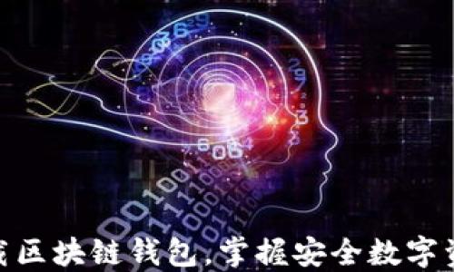 
在日本下载区块链钱包，掌握安全数字资产的关键