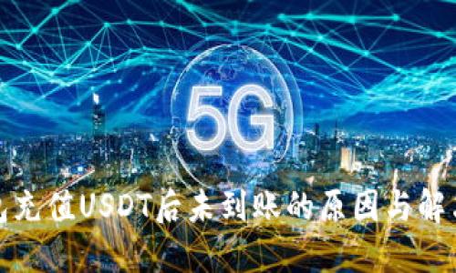 TP钱包充值USDT后未到账的原因与解决方案