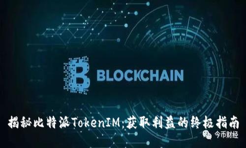 揭秘比特派TokenIM：获取利益的终极指南