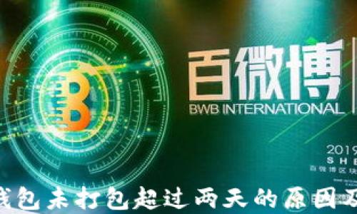 
Tokenim钱包未打包超过两天的原因及解决方案