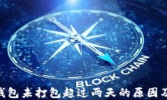Tokenim钱包未打包超过两天的原因及解决方案