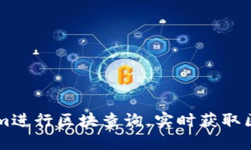 高效使用Tokenim进行区块查询，实时获取区块链数据的秘诀