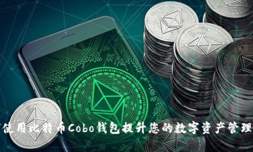 如何使用比特币Cobo钱包提升您的数字资产管理效率