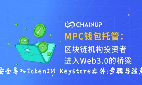 如何安全导入TokenIM Keystore文件：步骤与注意事项