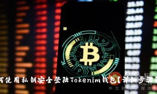 如何使用私钥安全登陆Tokenim钱包？详细步骤解析