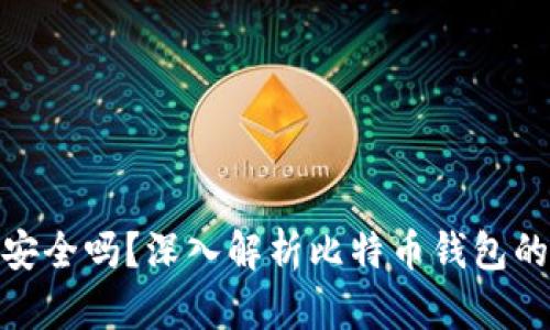 存比特币钱包安全吗？深入解析比特币钱包的安全性与风险