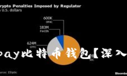 为何选择Instawalletpay比特币钱包？深入探讨其优势与用户体验
