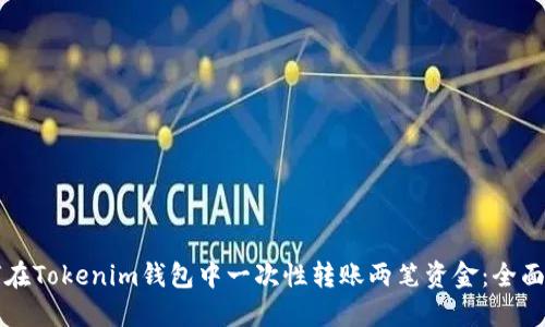 如何在Tokenim钱包中一次性转账两笔资金：全面指导