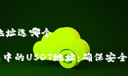 波尔钱包里USDT地址选哪个

如何选择波尔钱包中的USDT地址：确保安全与效率的最佳实践