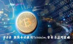 ### 狗狗币被提到Tokenim：分析与应对策略