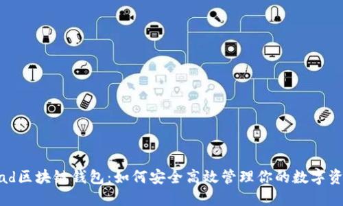 iPad区块链钱包：如何安全高效管理你的数字资金