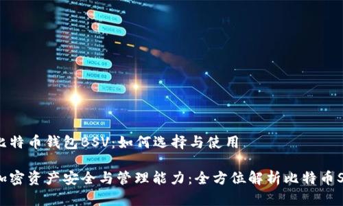 了解比特币钱包BSV：如何选择与使用

提升加密资产安全与管理能力：全方位解析比特币SV钱包