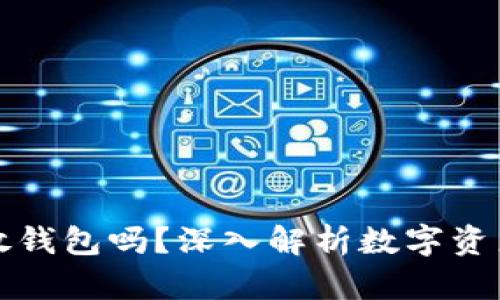 有必要把虚拟币放钱包吗？深入解析数字资产安全与投资策略