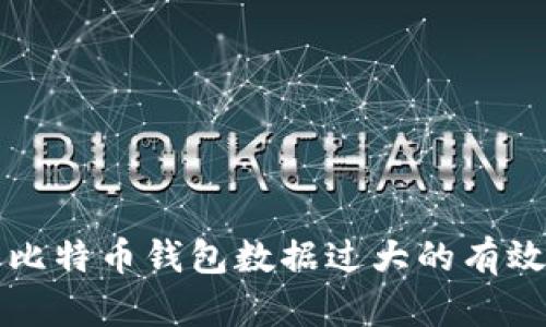 解决比特币钱包数据过大的有效方法