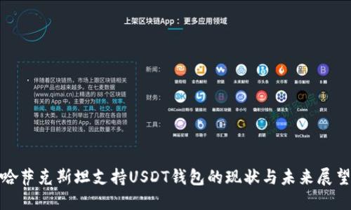 哈萨克斯坦支持USDT钱包的现状与未来展望