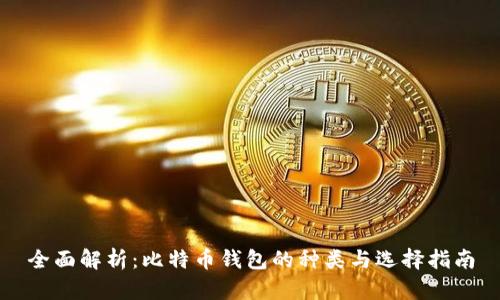 全面解析：比特币钱包的种类与选择指南