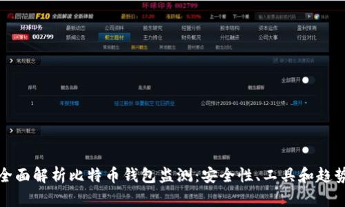 全面解析比特币钱包监测：安全性、工具和趋势
