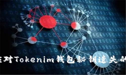 如何应对Tokenim钱包秘钥遗失的困境？
