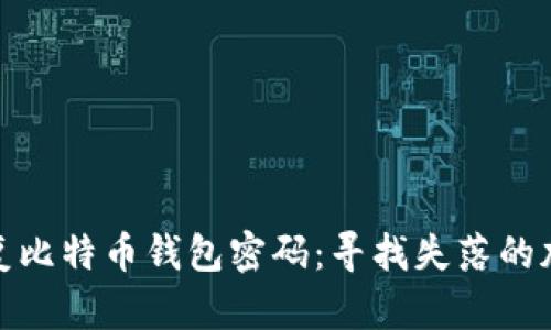 如何成功恢复比特币钱包密码：寻找失落的加密资产之路