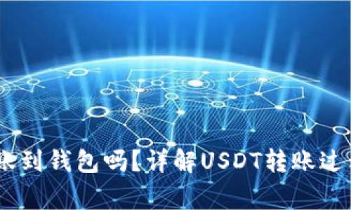 USDT能够转账到钱包吗？详解USDT转账过程及注意事项