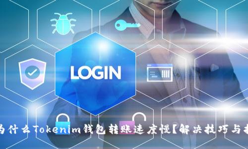 : 为什么Tokenim钱包转账速度慢？解决技巧与指南