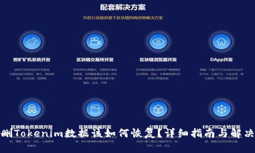 : 错删Tokenim数据该如何恢复？详细指南与解决方案
