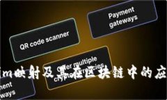 tokenim映射及其在区块链中的应用解析