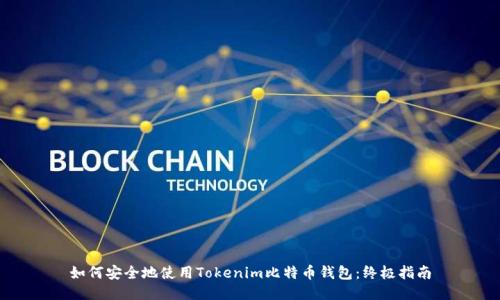 如何安全地使用Tokenim比特币钱包：终极指南