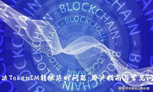 如何解决TokenIM转账延时问题：用户指南与常见问题解析