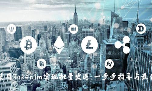 如何使用Tokenim实现批量发送：一步步指导与最佳实践