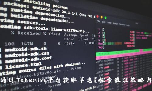 如何通过Tokenim平台获取羊毛？探索最佳策略与技巧