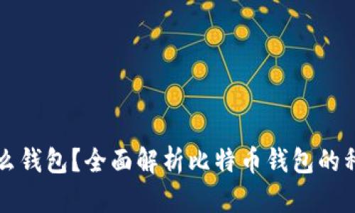 存比特币用什么钱包？全面解析比特币钱包的种类及选购指南