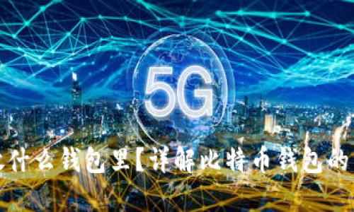 买了比特币放什么钱包里？详解比特币钱包的种类与安全性