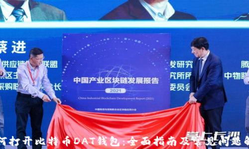 
如何打开比特币DAT钱包：全面指南及常见问题解析
