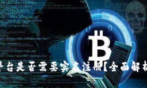 : Tokenim平台是否需要实名注册？全面解析与用户指南