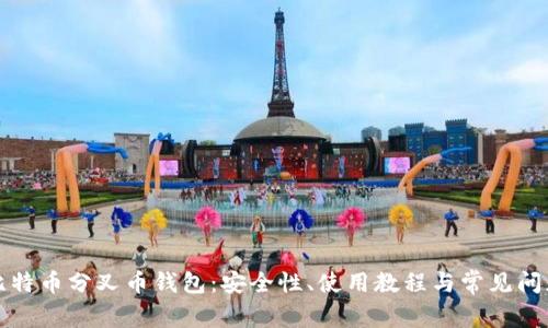 揭秘比特币分叉币钱包：安全性、使用教程与常见问题解析