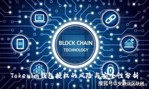 Tokenim钱包授权的风险与安全性分析