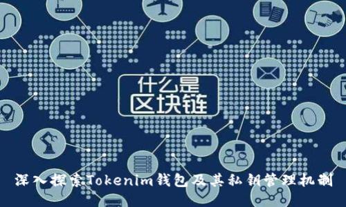 深入探索Tokenim钱包及其私钥管理机制