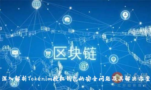 深入解析Tokenim授权钱包的安全问题及其解决方案